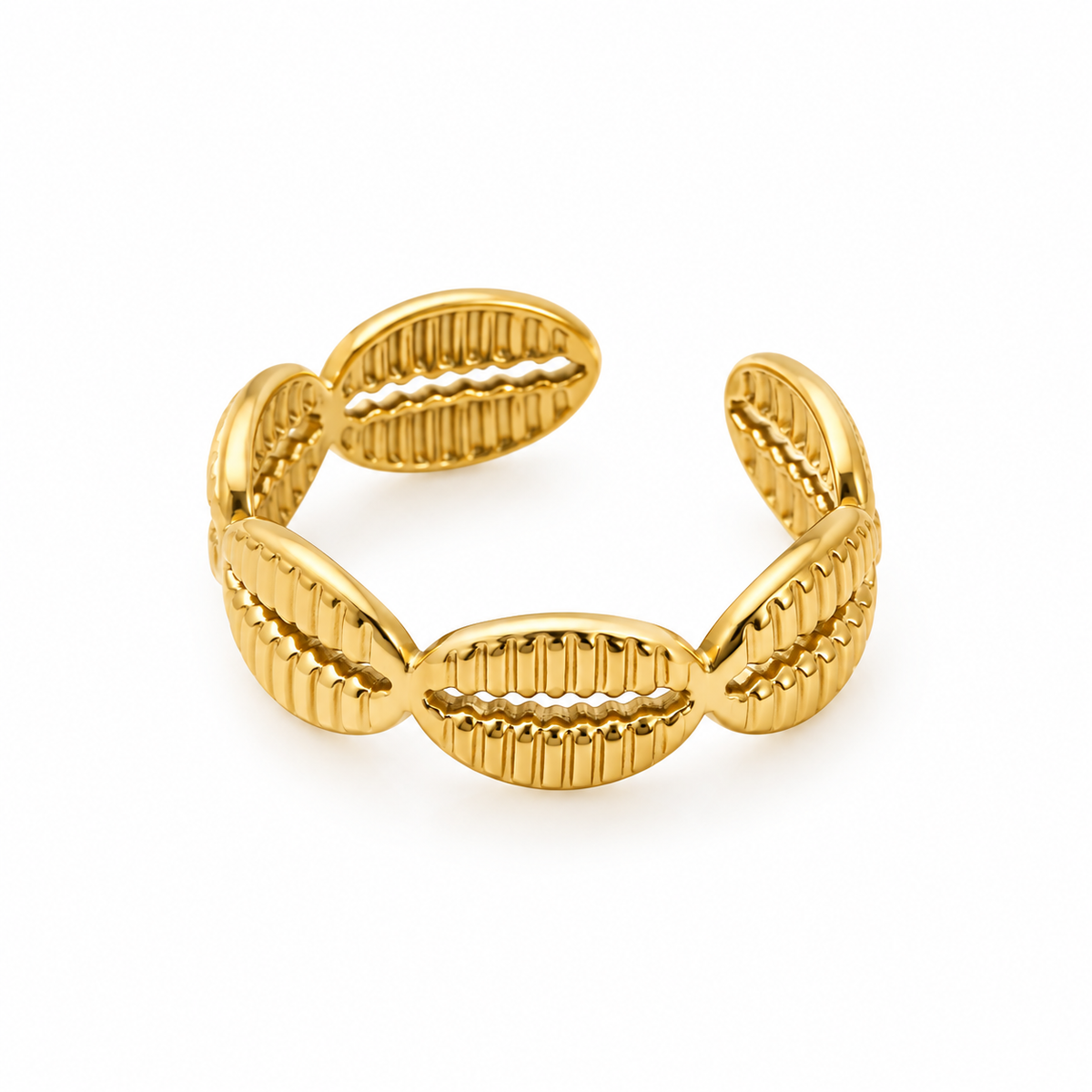 Coastal shell ring