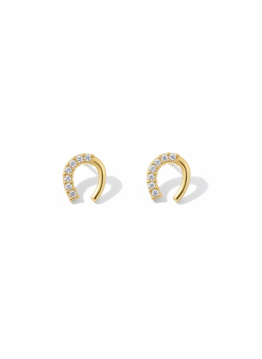 Luna Curve Earrings