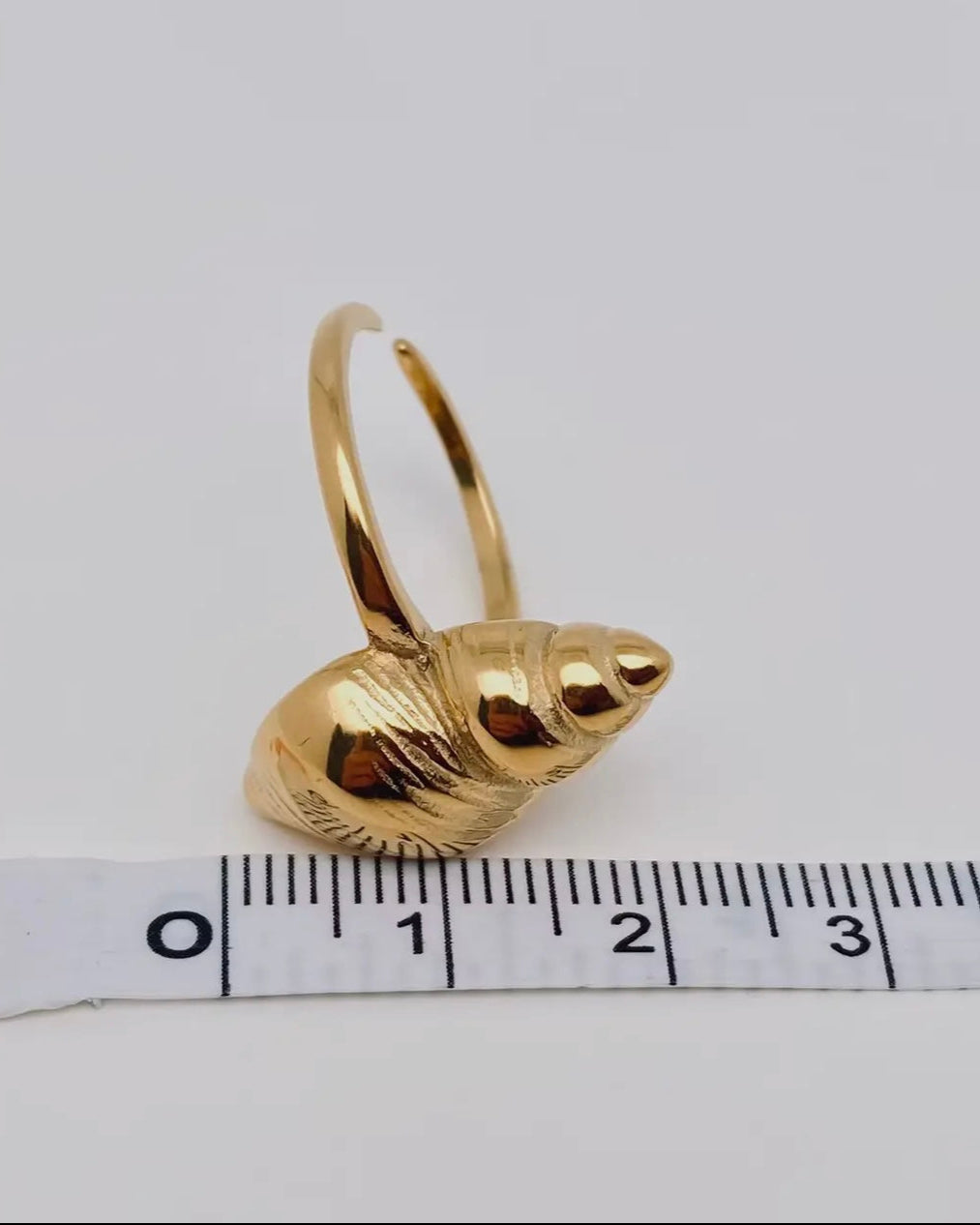 Conch ring   one size