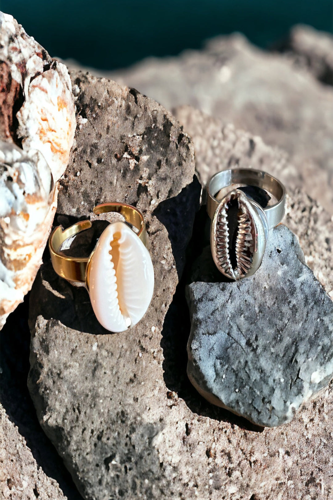 Shell ring