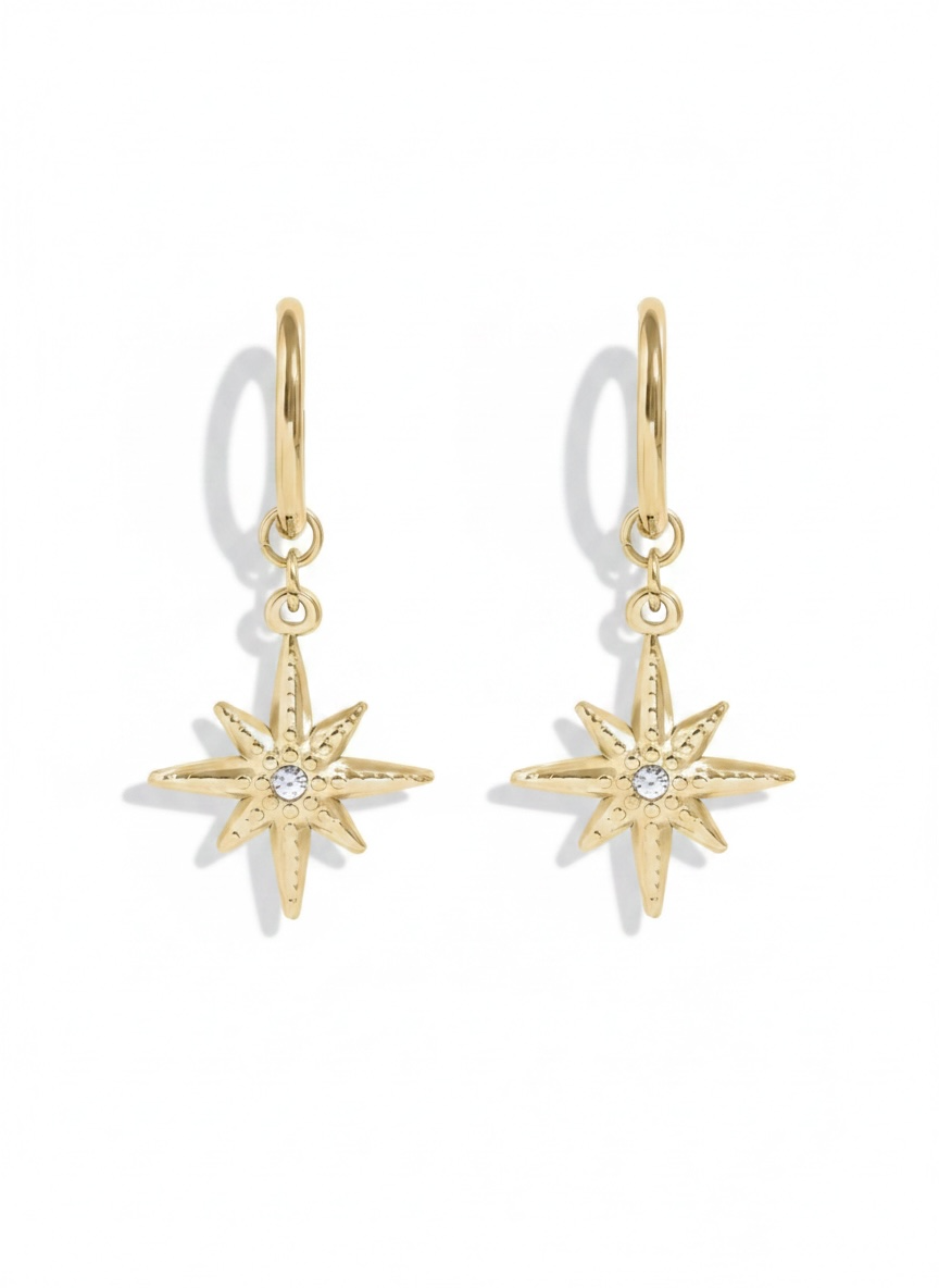 18K Gold Pvd Huggie with Compass
Charm Earrings